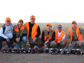 Guided Pheasant Hunting
