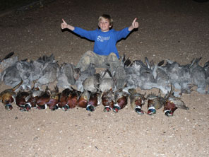 Texas Pheasant Hunts