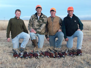 Guided Pheasant Hunting