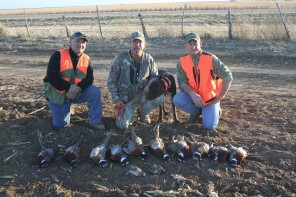 Texas Pheasant Hunts