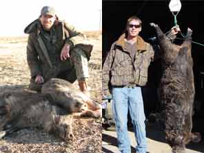 Texas Wild Boar Hunts