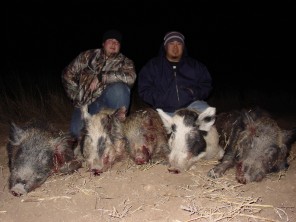 Texas Wild Boar Hunts