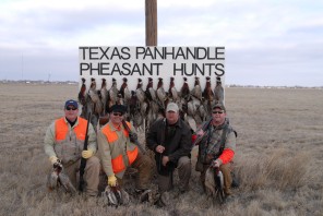 Texas Pheasant Hunts