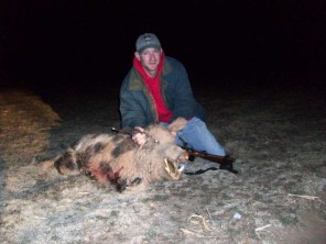 Texas Hog Hunts