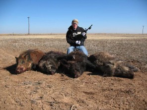 Texas Panhandle Hog Hunts