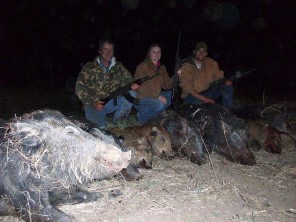 Texas Hog Hunts