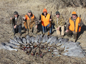 Guided Pheasant Hunts