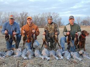 Texas Pheasant Hunts