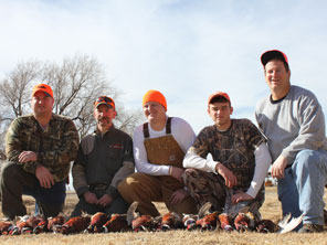 Texas Pheasant Hunts