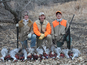 Texas Pheasant Hunts