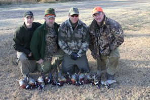 Guided Pheasant Hunting