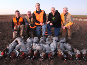 Texas Pheasant Hunts