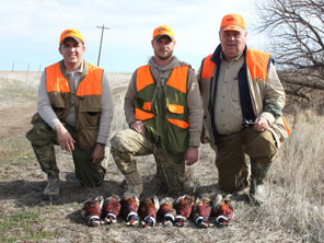 Texas Panhandle Pheasant Hunts