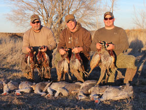 Texas Pheasant Hunts