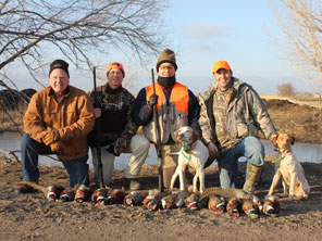 Guided Pheasant Hunting