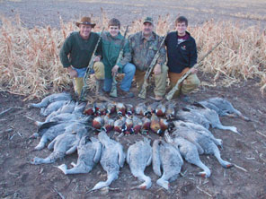 Texas Pheasant Hunts