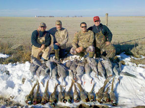 Texas Panhandle Pheasant Hunts