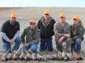 Texas Pheasant Hunts