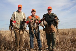 Texas Pheasant Hunts