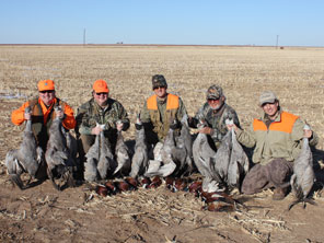 Texas Pheasant Hunts