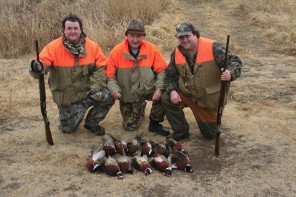 Texas Pheasant Hunts