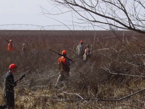 Texas Pheasant Hunts