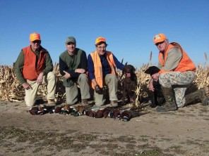 Texas Pheasant Hunts